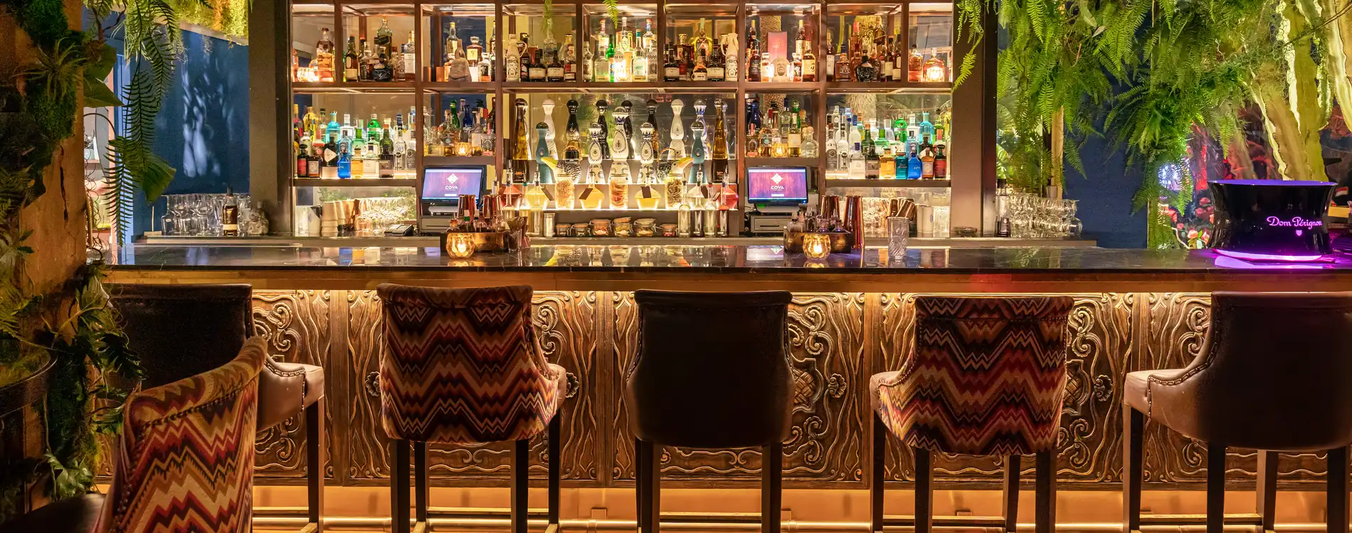 coya-monte-carlo-pisco-bar-lounge-2023