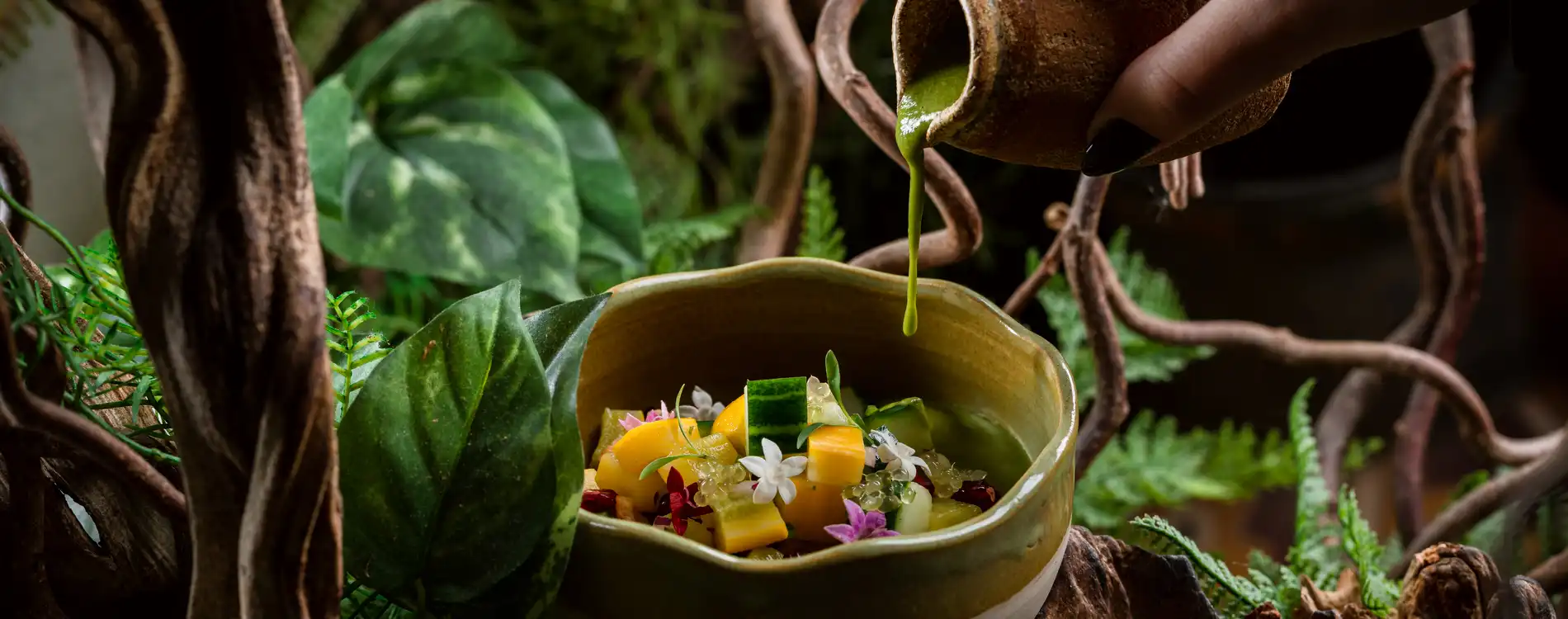 COYA-Monte-Carlo Plats-2023