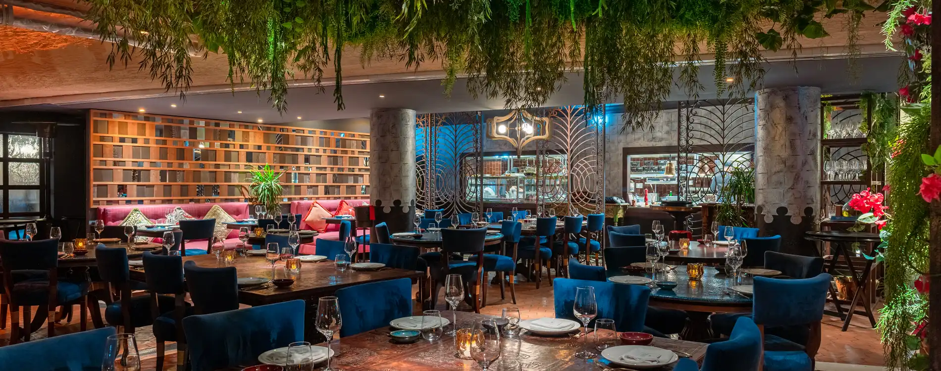 COYA Monte-Carlo - Restaurant 2023