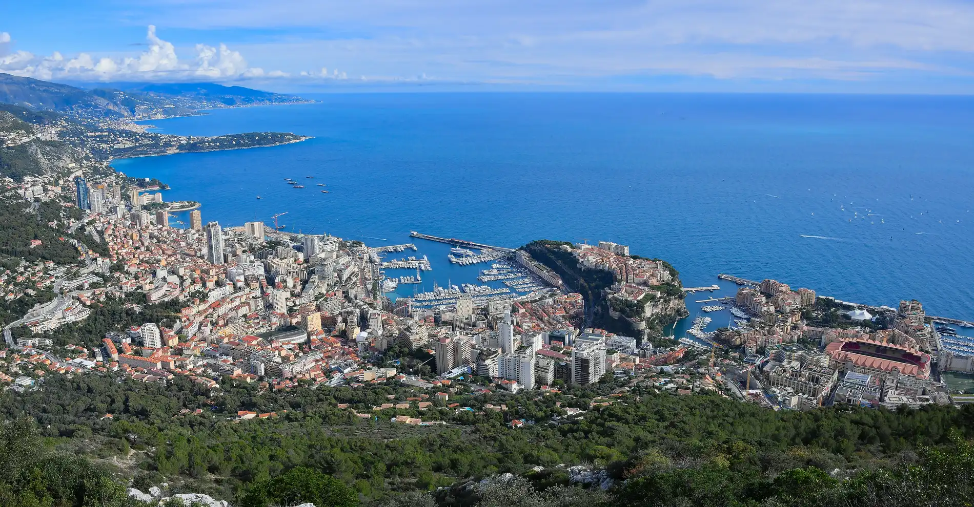 Dauphins & baleines Mer Monaco - La faune du Sanctuaire Pelagos