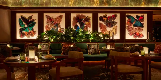 amazonico-monte-carlo